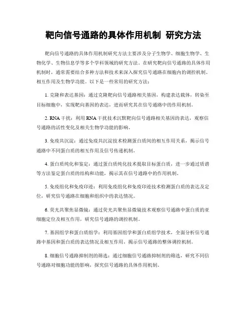 靶向信号通路的具体作用机制 研究方法