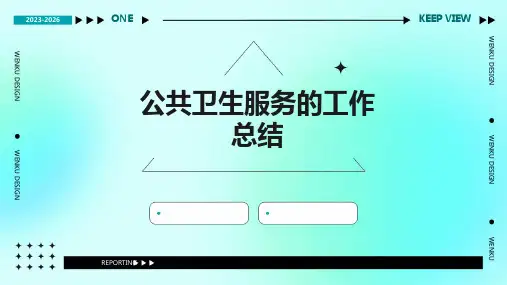 公共卫生服务的工作总结PPT