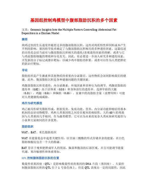 基因组控制鸡模型中腹部脂肪沉积的多个因素