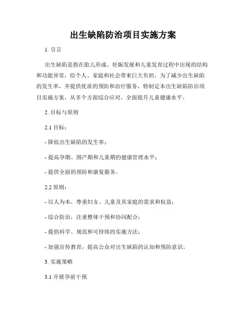 出生缺陷防治项目实施方案