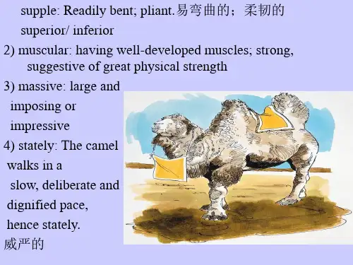 【ppt课件】高级英语课件_L