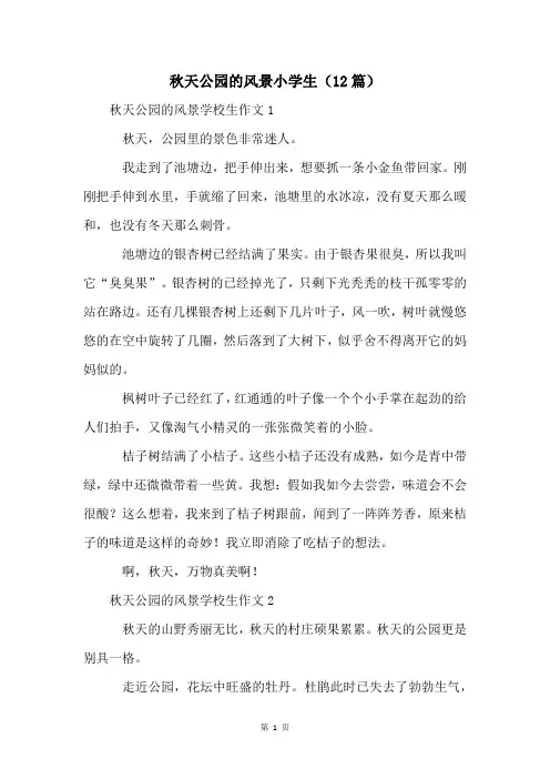 秋天公园的风景小学生(12篇)