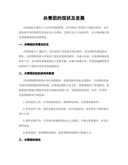 共青团的现状及发展