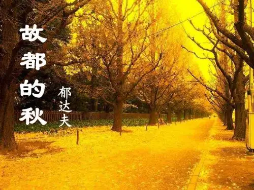 故都的秋  上课使用课件