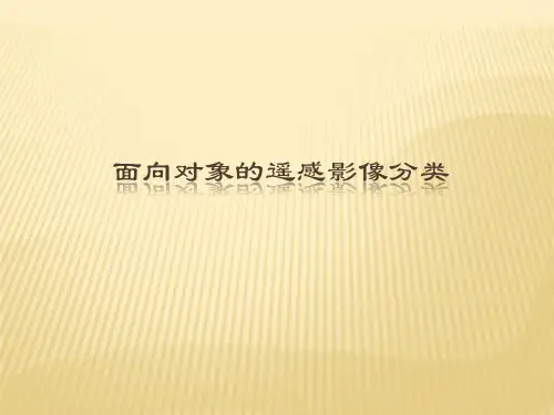 面向对象的遥感影象分类