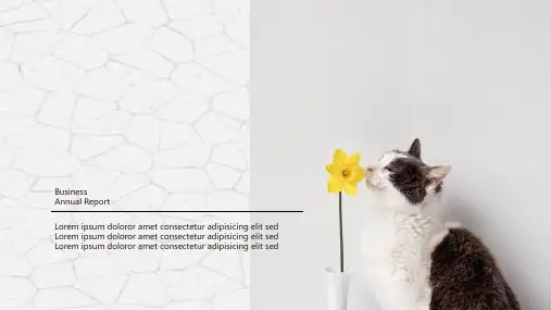 简笔画可爱卡通宠物行业PPT模板呆萌猫咪狗萌宠物店动物医生课件 (20)