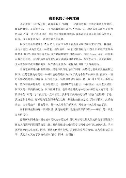 网球论文