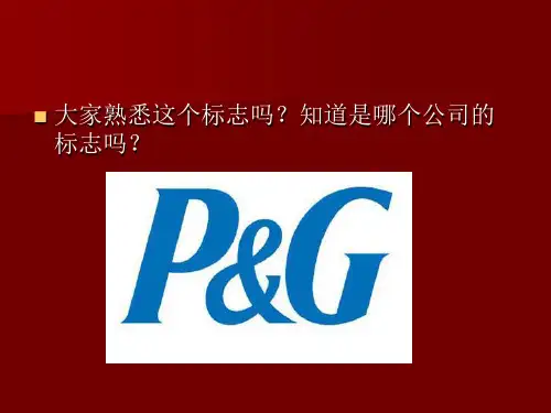 宝洁公司 PPT课件 