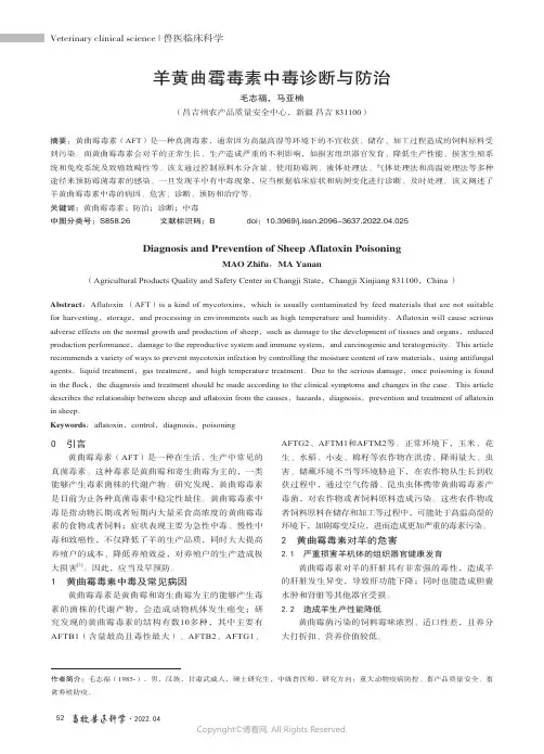 羊黄曲霉毒素中毒诊断与防治