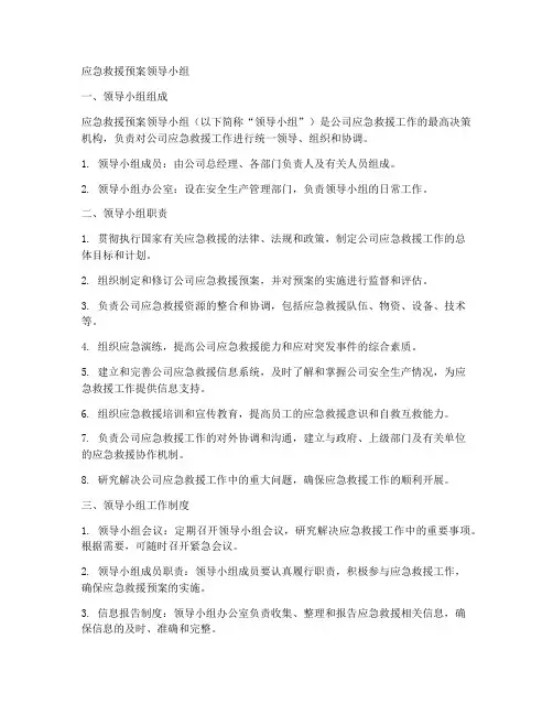 应急救援预案领导小组