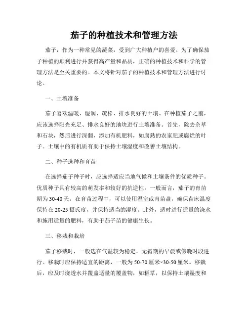茄子的种植技术和管理方法