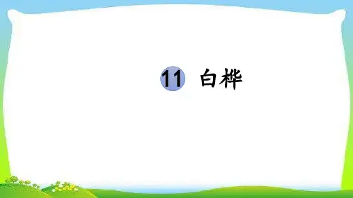 11《白桦》  课件(共21张PPT)