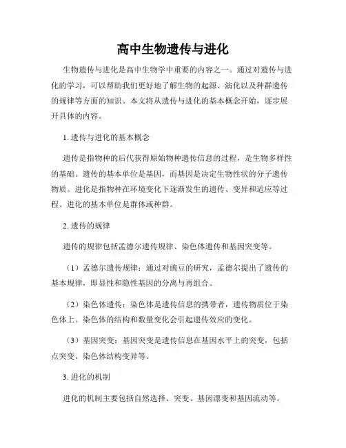 高中生物遗传与进化