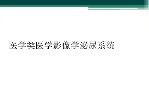 医学类医学影像学泌尿系统