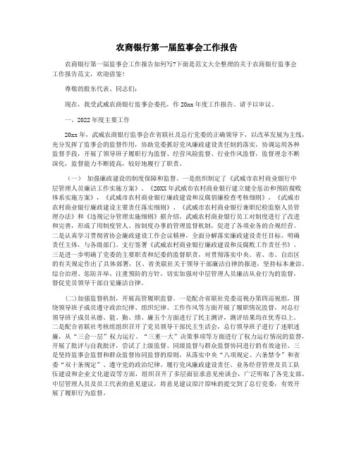 农商银行第一届监事会工作报告