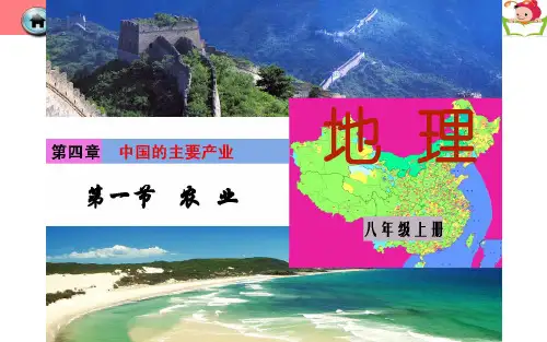 我国的农业培训课程(共50张PPT)