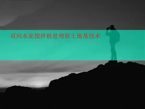 双向水泥搅拌桩处理软土讲义地基技术