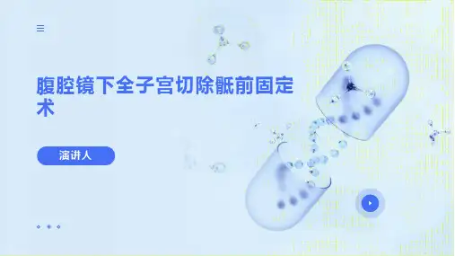 腹腔镜下全子宫切除骶前固定术