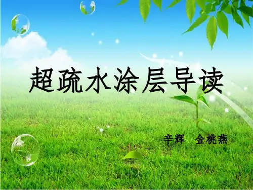 超疏水原理ppt课件