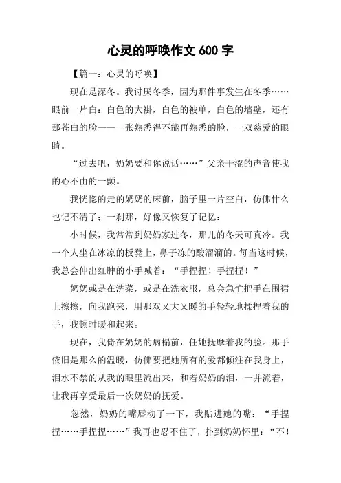 心灵的呼唤作文600字