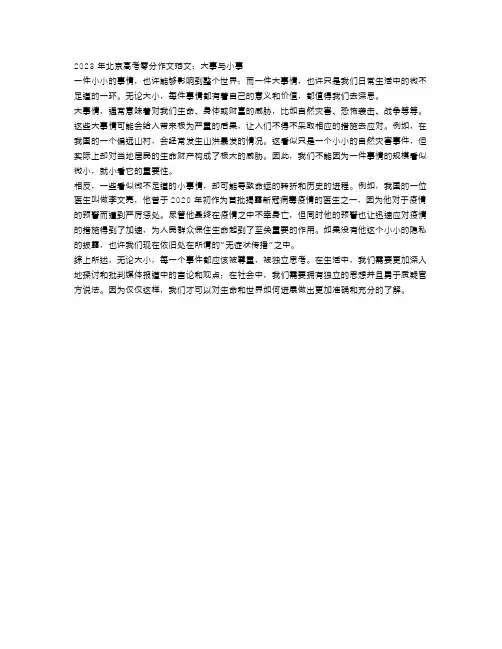 2023年北京高考零分作文范文：大事与小事