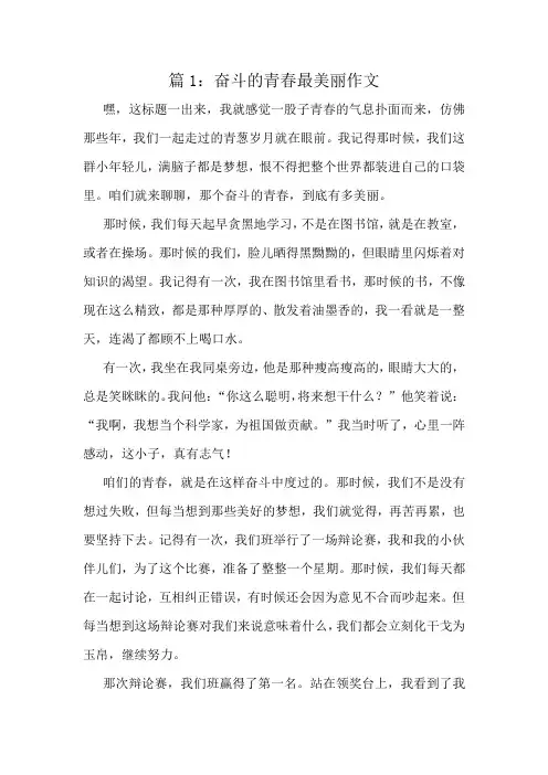 奋斗的青春最美丽作文精选6篇