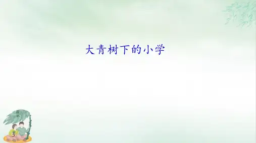《大青树下的小学》精美版1(共35张PPT)