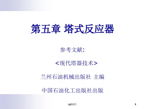 塔式反应器  ppt课件