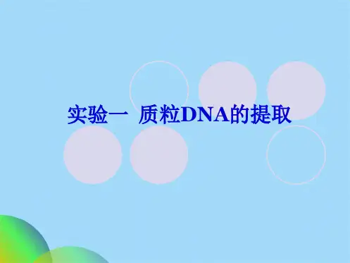 实验一质粒DNA的提取(共27张PPT)
