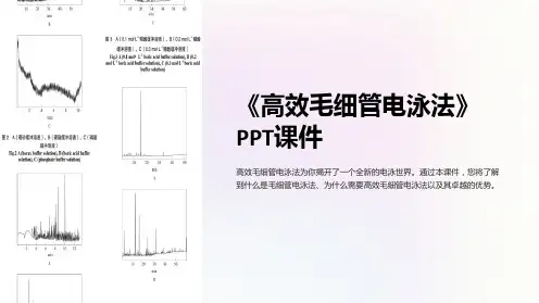 《高效毛细管电泳法》课件