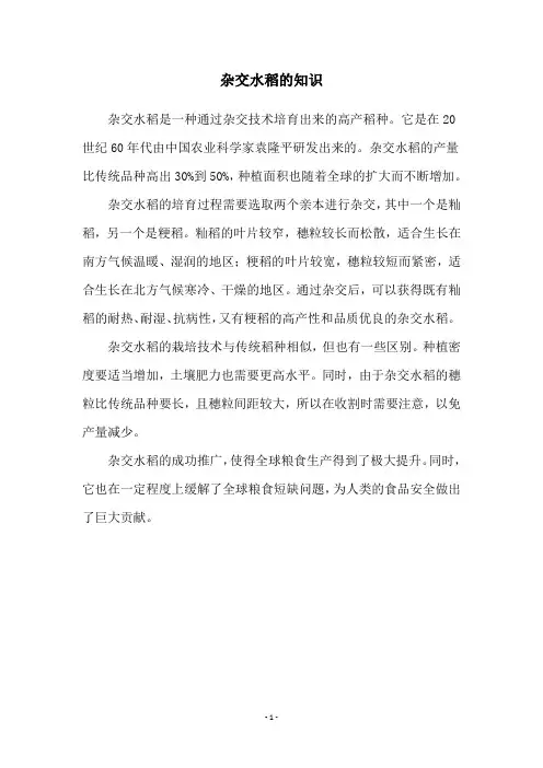 杂交水稻的知识