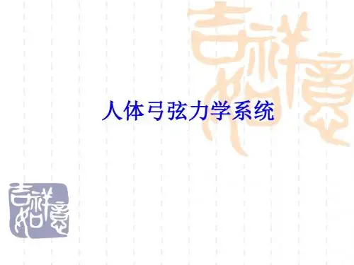 人体弓弦力学系统