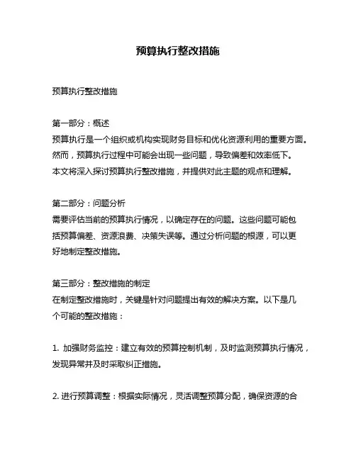 预算执行整改措施