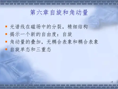 自旋和角动量PPT课件