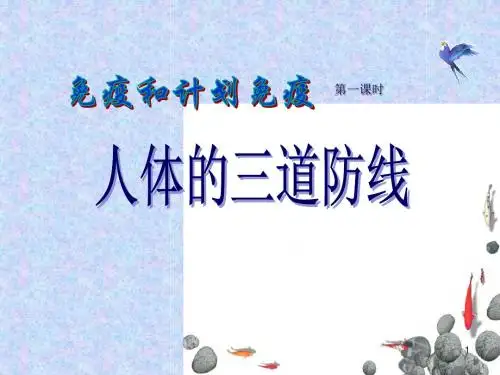 人体的三道防线说课 ppt课件