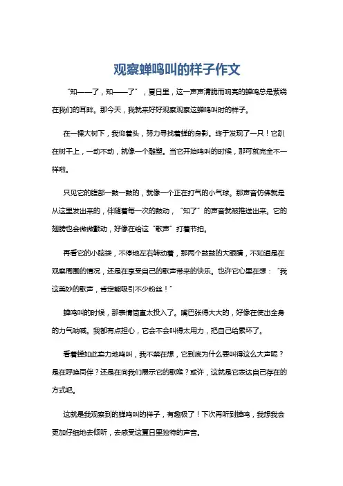 观察蝉鸣叫的样子作文