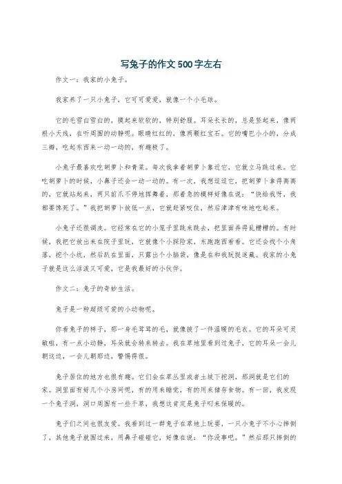 写兔子的作文500字左右