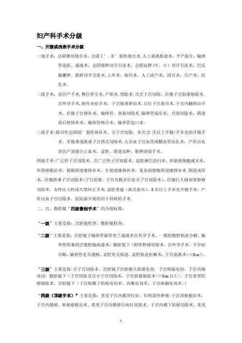 手术分级项目【范本模板】