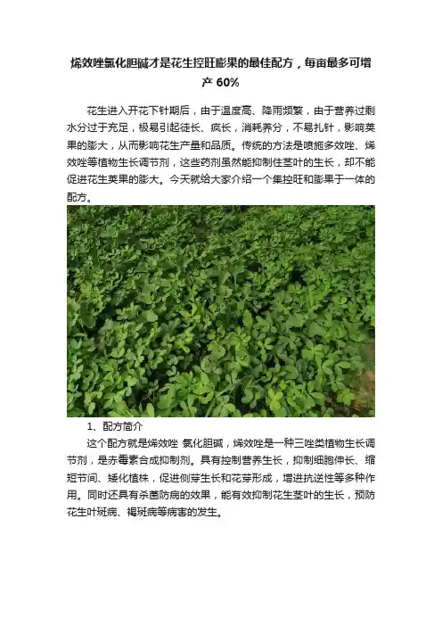 烯效唑氯化胆碱才是花生控旺膨果的最佳配方，每亩最多可增产60%