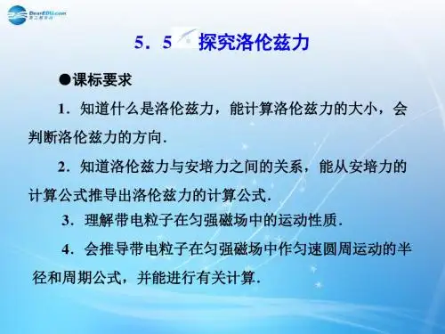 5.5 探究洛仑兹力