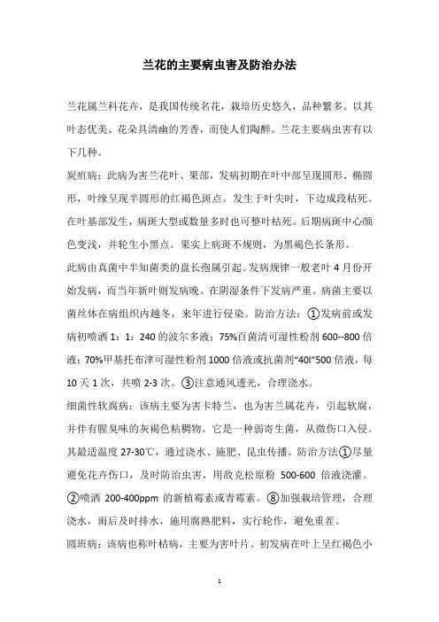 兰花的主要病虫害及防治办法
