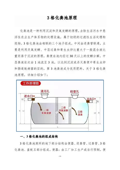 3格化粪池原理