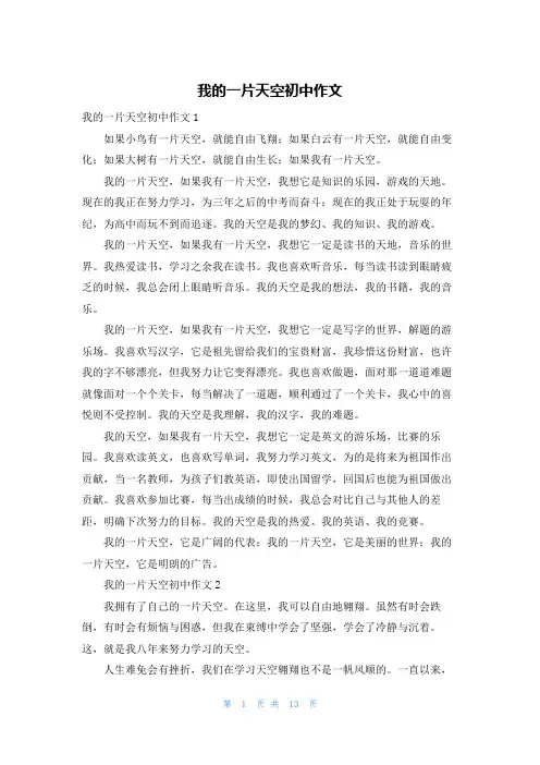 我的一片天空初中作文