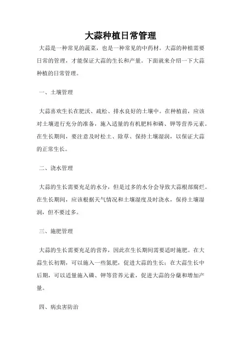 大蒜种植日常管理