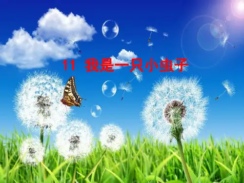2021年人教部编版二年级语文下册课件—11 我是一只小虫子 (共31张PPT)