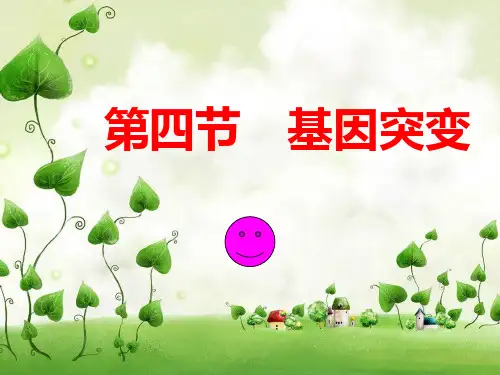 基因突变(优秀课)PPT课件