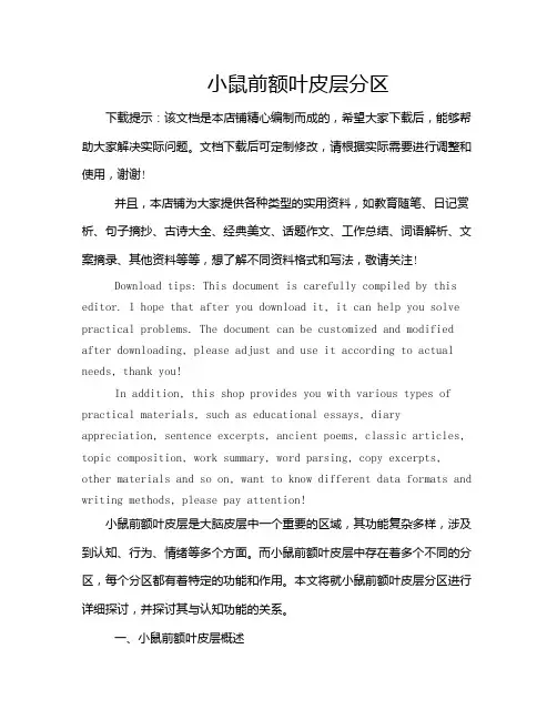 小鼠前额叶皮层分区