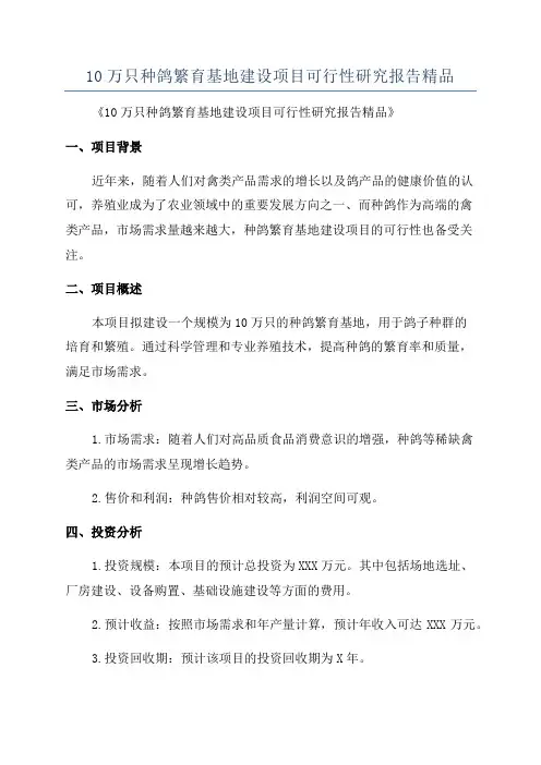 10万只种鸽繁育基地建设项目可行性研究报告精品