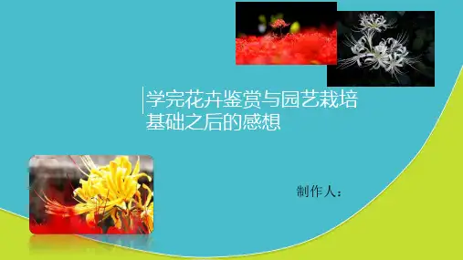 花卉鉴赏与园艺栽培ppt课件