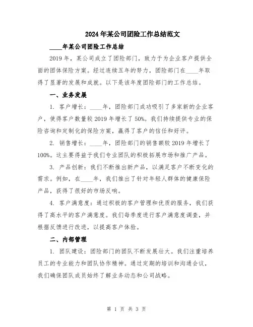 2024年某公司团险工作总结范文
